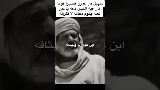 خطبة سهيل بعد وفاة النبي ﷺ 