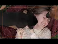 I Love My Pet | Zoodio | Cute Pets and Animal Music for Kids