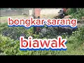 Download Lagu \