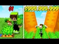 Download Lagu Criei o JARDIM mais BONITO e RARO do Minecraft!