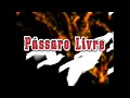 Lagu Pássaro Livre - Ao Vivo Em Aracajú-SE (DVD Completo)