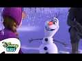 Lagu Elsa and Anna's Frozen Friends ❄️☃️🫎 | Frozen | @disneykids
