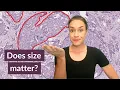 How big should the annotations be for deep learning image analysis for pathology