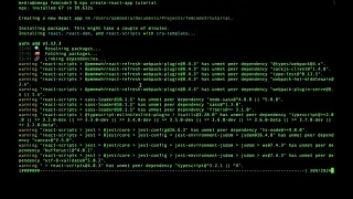 WEBPACK AND CREATE REACT APP