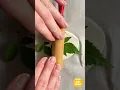 Nature Prints in Clay