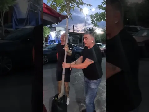 Un amigo me regala este arbol