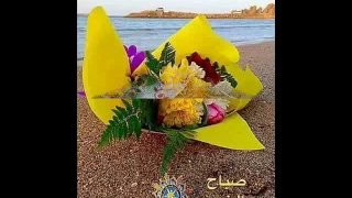 ياحلو صبح ياحلو طل دندنها