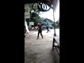 Bobodor sumbul