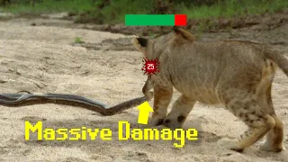 The Snake Tier List  The Snake Tier List