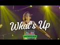 Download Lagu What's Up (Disco) | 4 Non Blondes - Sweetnotes Live @ Gensan