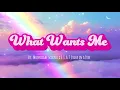 Download Lagu What Wants Me (Official Lyric Video) - Moonlight Scorpio x S.I.A.T Stuck In A Tree
