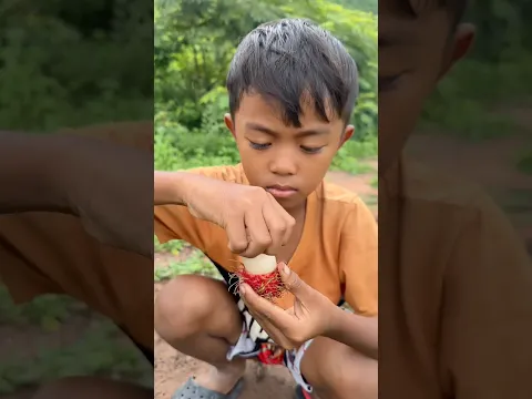 Survival Skills: SMART idea and USEFULinForest#bushcraft#camping#outdoors#survival
