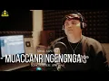 Download Lagu MUACCANRINGENGNGA || Awal Saputra || CIPT: ANCHA.S -  Cover