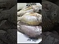 Cara Membersihkan Ikan Mujaer dengan Cepat dan Mudah β #ikan #mujaer