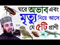 Download Lagu 💔সাবধান! ঘরে অভাব এবং মৃ9ত্যু নিয়ে আসে যে ৫ টি প্রাণি। 🔴মিজানুর রহমান আজহারীAug 2620256:35 PM