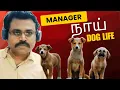Download Lagu Manager நாய் | The Dog Trouble | Certified Rascals