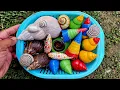 Download Lagu Hunting Snails, Millipedes, Insect | Berburu Bekicot, Luwing, Kelomang, Serangga, Belalang Sembah