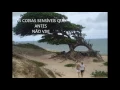 El mismo cielo - Marcela Gandara - em português