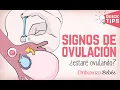 How do I know if I m ovulating 8 symptoms of ovulation