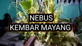 Download CARA  NEBUS  KEMBAR MAYANG!! tradisi  jawa MP3