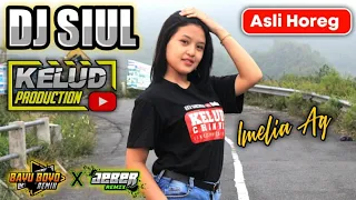 Download DJ SIUL | DIJAMIN HOREG JANGAN DI PUTAR KALO SPEAKERNYA TAKUT JEBOL | MP3