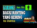 Download Lagu BAGAI RANTING YANG KERING Iis Dahlia KARAOKE Nada PRIA