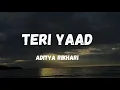 TERI YAAD ||  ADITYA RIKHARI  ||  THE NOISE MAKER  || LYRICS