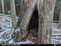 Homes for Sale - TBD Bledsoe Creek Road Sparta NC
