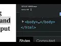 48 es6 Taking user input and display output