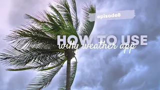 A Simple guide to using Willy Weather to plan your paddles
