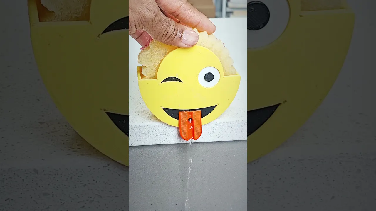 Silly scrub daddy holder.3mf video thumbnail