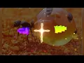 Gui Brazil GV3 - Yeshua Só Quero Ver Você