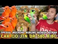 Lagu REJEKI BURUNG MEWAH HARGA MURAH CAK RANTING 80 RIBU CAK EMAS 350 RIBU CAK IJO 380 RIBU DI PB PRAMUKA