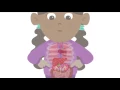 BBC Learning - Major Organs of the Human Body
