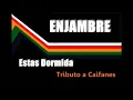 Enjambre - Estas Dormida (Tributo A CAIFANES)