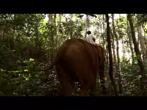 Last of the Elephant Men - Trailer