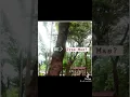 Download Lagu Meme Dino Dino Riko Suguhi parang