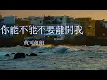 你能不能不要離開我-莫叫姐姐『你能不能不要離開我，究竟是我做錯了什麽』【動態歌詞MV】