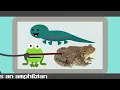 A Salamander is NOT a Number! | SPECIAL REPORT | Scratch Garden