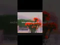 Download Lagu SAHIBA ✨|| Sahiba song lyrics #song #trending #sahiba
