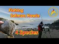 Lagu Beach fishing: Salmon Howie: Macduff: FISHnTHINGS 🎣