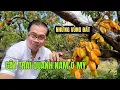Download Lagu Bạn Có Biết Những Nơi Chỉ Có Ở Florida, Mỹ Mà Người Việt Rất Thích