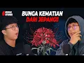 Download Lagu EP 81 (Riddle): Suara Decakan Lidah, Ice Cream, Polisi Di Apartment, Spider Lily