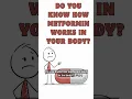 How Metformin Works Simple Explanation for Type 2 Diabetes