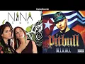 Move Ya Body x Culo (Ft. Nina Sky & Pitbull)