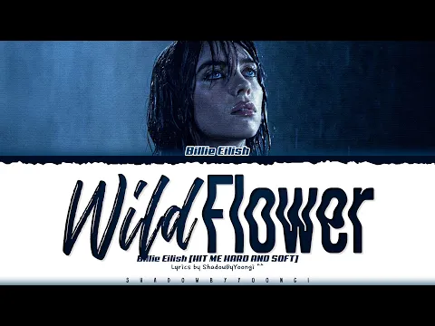 Download MP3 Billie Eilish 'WILDFLOWER' Lyrics (Color Coded Lyrics) | ShadowByYoongi