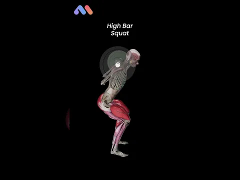 High Bar vs. Low Bar Squat: Which One Should You Choose? 🏋️‍♂️