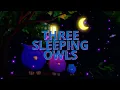 3 Sleepy Owls & Lullaby for Babies to Go to Sleep 💤 (10 Hours Dark Screen) 2026 ❤️ Sleep Music
