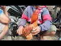 Download Lagu UPDATE HARGA AYAM BANGKOK DI PASAR ADIPALA CILACAP