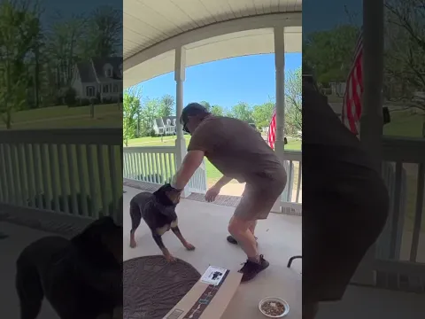 Video Thumbnail: Dog becomes friends with the UPS delivery guy! 🤩❤️  -  🎥 Viralhog